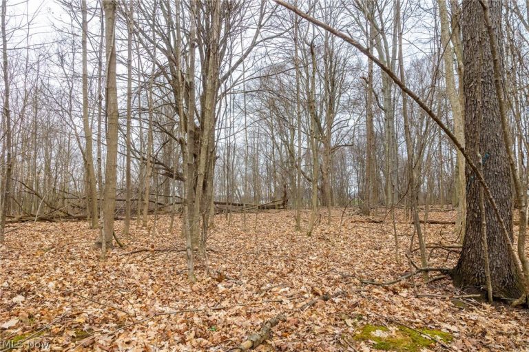 Pigeon Run Avenue, Navarre, OH - Photo 4