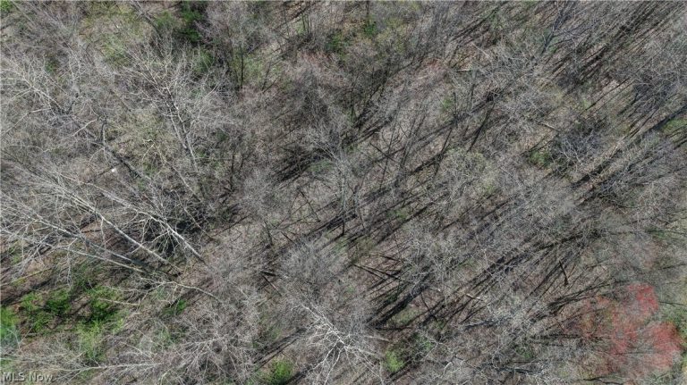 Martin Drive Southeast, Canton, OH - Photo 6