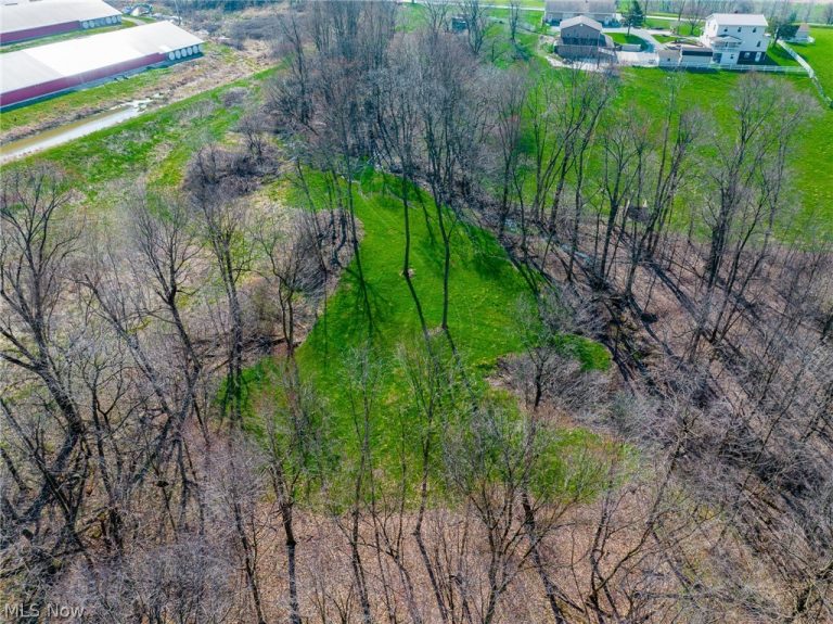 Nebraska Road, Dundee, OH - Photo 3