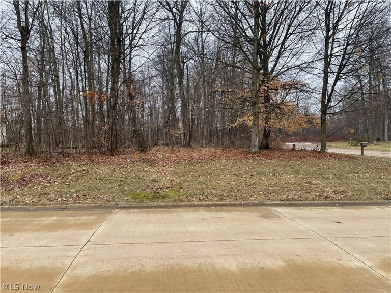 V/L 260 Stony Brook Lane, Wakeman, OH - Photo 3