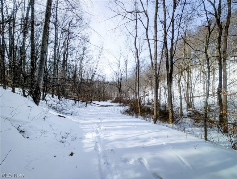 Tract 11 Miltonsburg-Calais Road, Woodsfield, OH - Photo 3