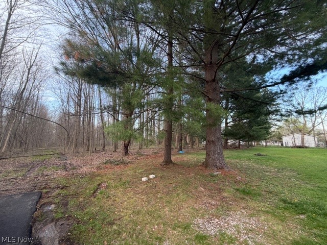 Willow Street, Solon, OH - Photo 6