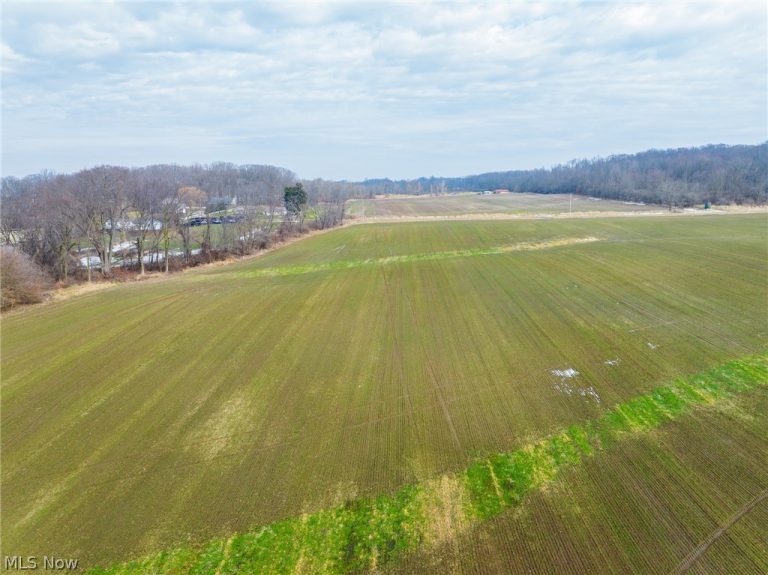 7389 Doylestown Road, Sterling, OH - Photo 8