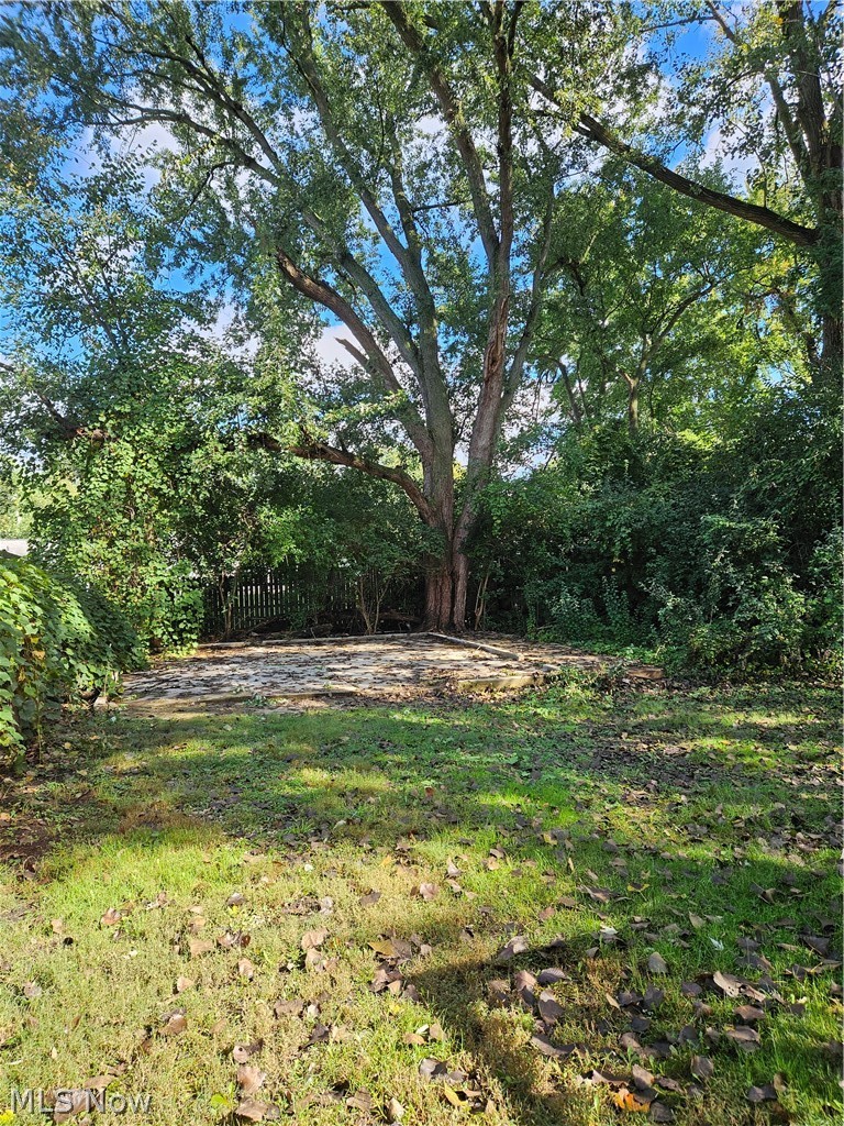 1859 Sheffield Drive, Akron, OH - Photo 3