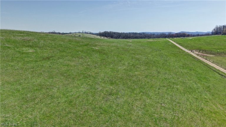 Township Road 127, Millersburg, OH - Photo 8