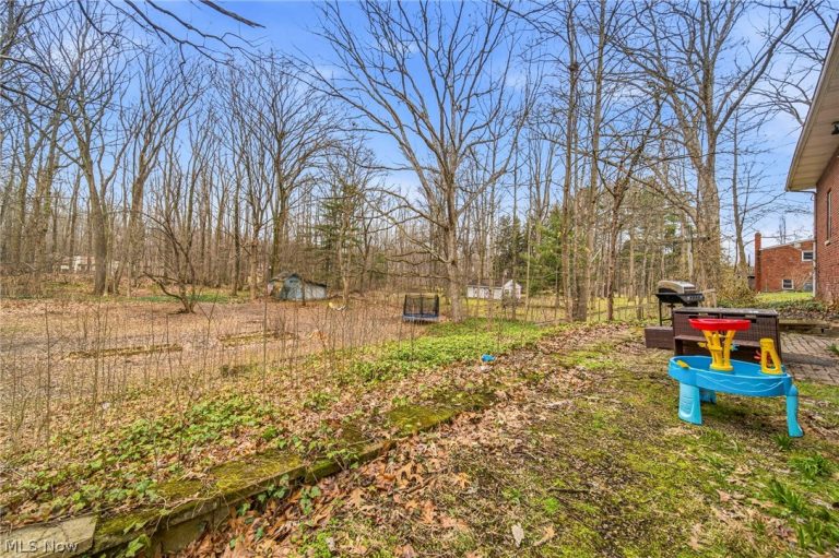 11914 Concord Hambden Road, Painesville, OH - Photo 8