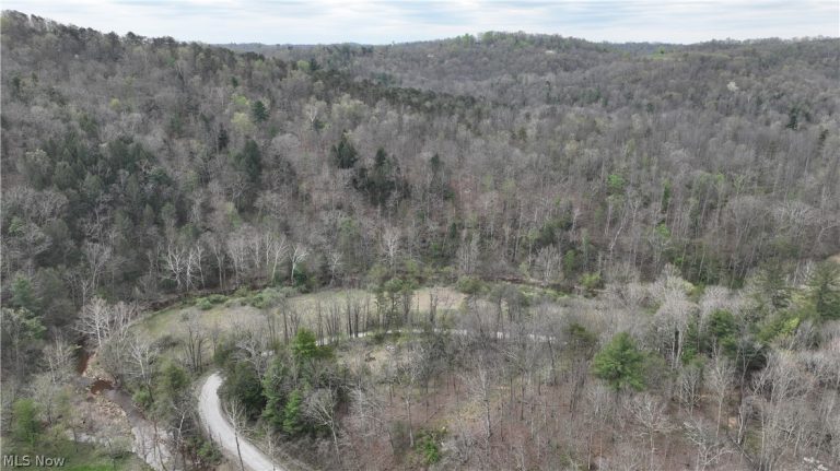 Sugar Creek Road, St Marys, WV - Photo 2