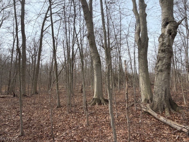 Madison Road, Madison, OH - Photo 6