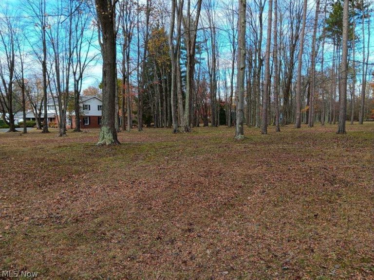 170 West Main St/ US Rt 322, Orwell, OH - Photo 8