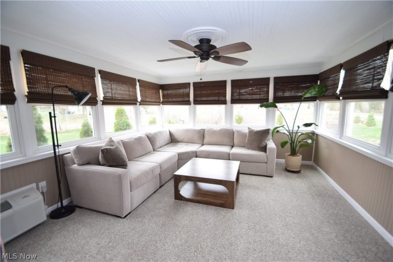 225 Cadillac Drive, Youngstown, OH - Photo 8