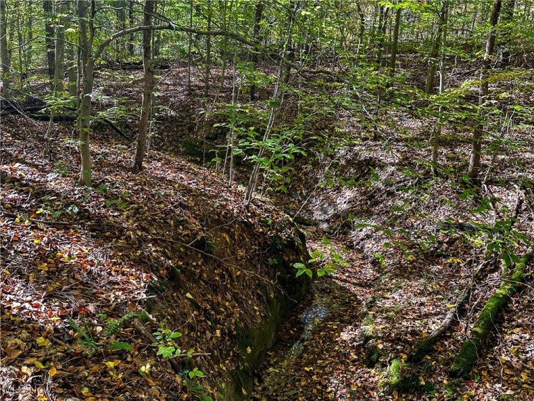Clark Road, Cutler, OH - Photo 5
