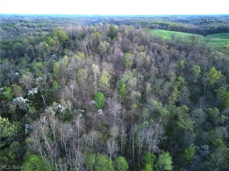 ZANE Road, Lore City, OH - Photo 8
