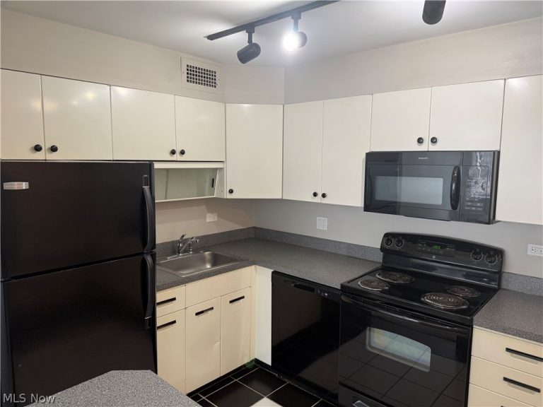 12700 Lake Avenue #504, Lakewood, OH - Photo 6