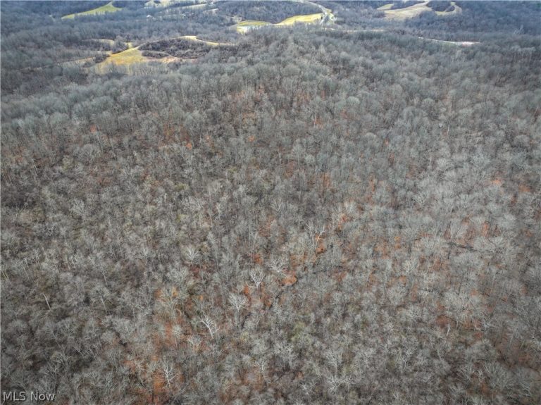 0 Tract 14 CR 7 Rear, Caldwell, OH - Photo 5