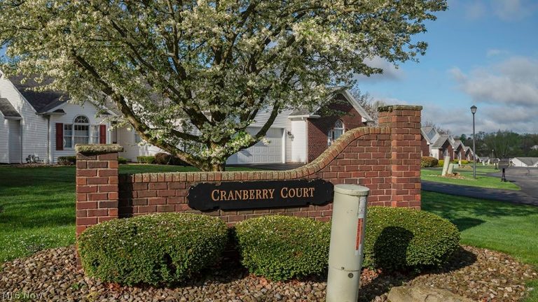 248 Cranberry Court, Warren, OH - Photo 3