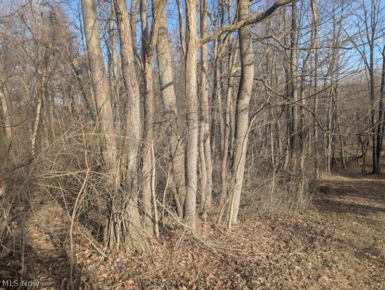 Township Road 215, New Lexington, OH - Photo 6
