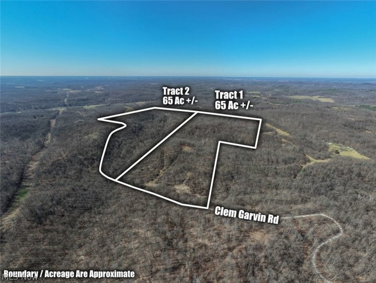 Clem Garvin Road, Caldwell, OH, 43724