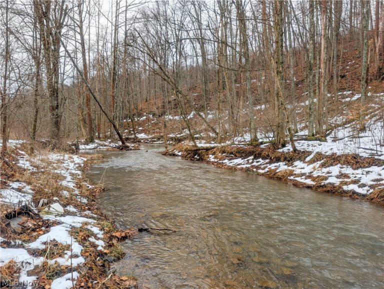 Tract 7 Edwina Road, Woodsfield, OH - Photo 5