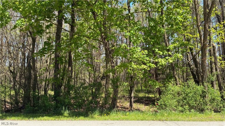 Mohican Trail, Negley, OH - Photo 6