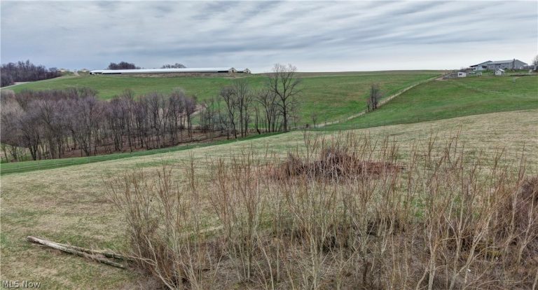 10316 Lower Trail Road, Dundee, OH - Photo 2