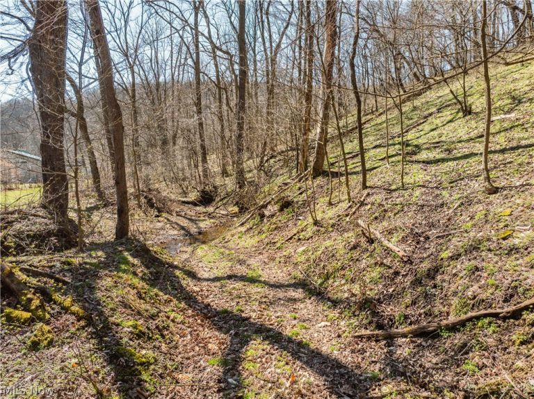 Township Road 34, Killbuck, OH - Photo 8