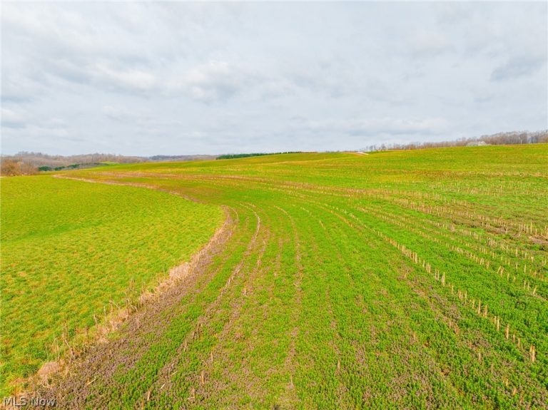 N American Road, Dover, OH - Photo 5