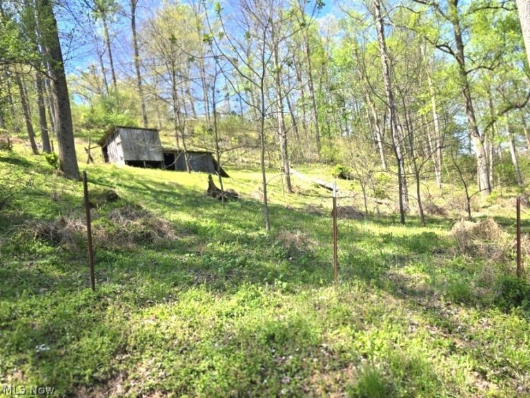 2361 Carpenter Run Road, Waverly, WV - Photo 5
