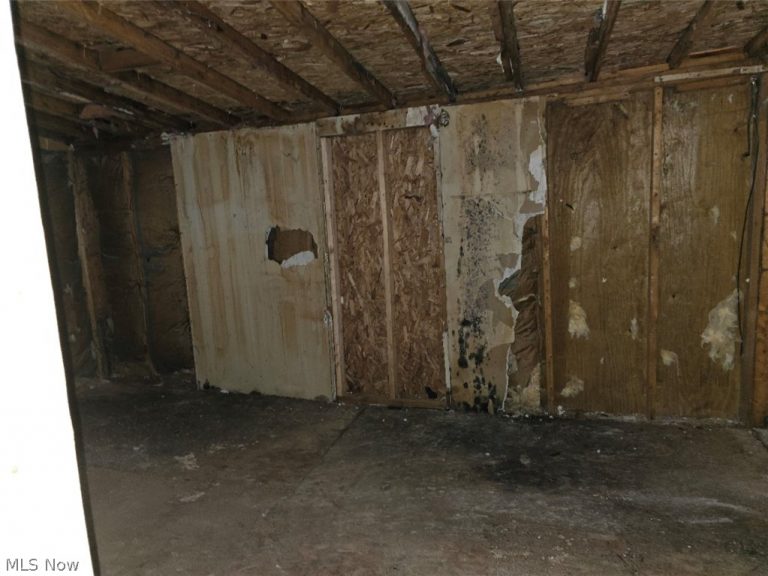 1008 Pike Street, Parkersburg, WV - Photo 8