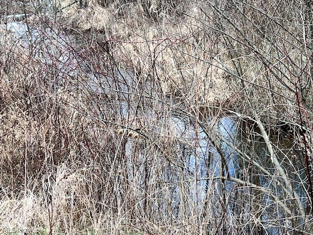 Johnson Bethel Road, Barnesville, OH - Photo 3
