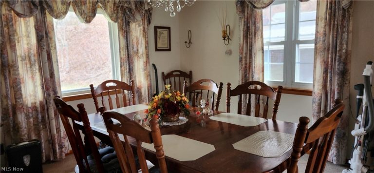 36577 State Route 7, Sardis, OH - Photo 6