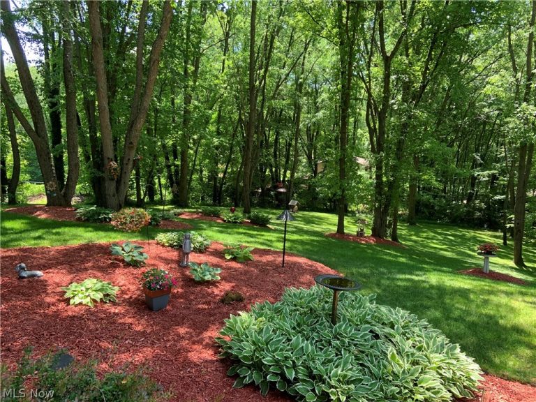 12432 Ledgeview Street, Canal Fulton, OH - Photo 6