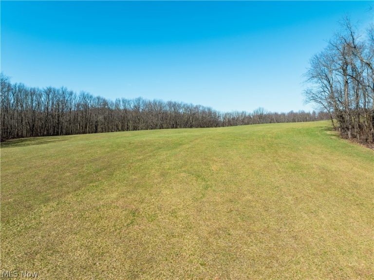 Burrier Road, Jewett, OH - Photo 2