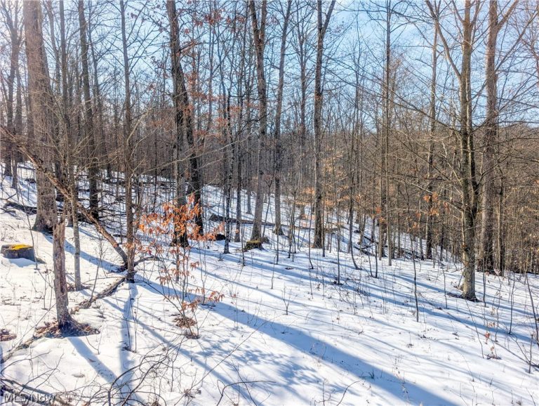 0 Tract 16 Ch 59, Cutler, OH - Photo 6