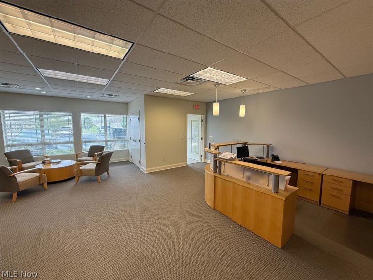 31320 Solon Road #19, Solon, OH - Photo 8