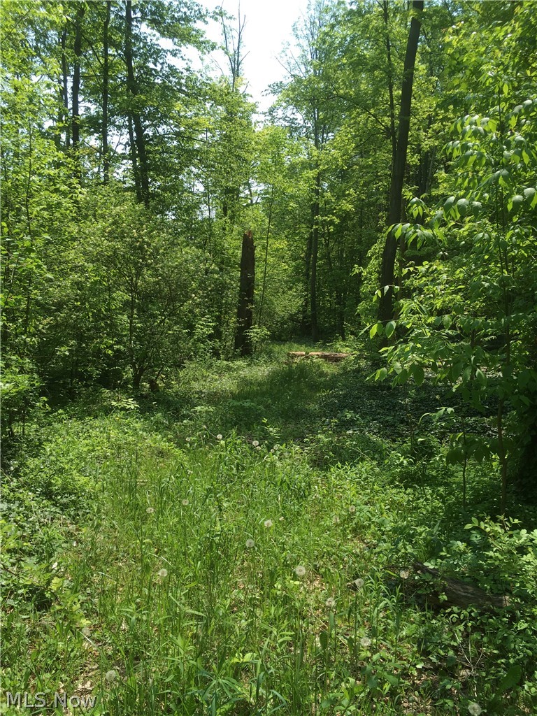 Fowlers Mill Road, Chardon, OH, 44024