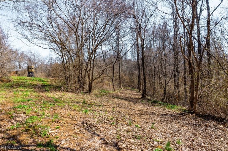 Sheepskin Ridge Road, Lower Salem, OH - Photo 6