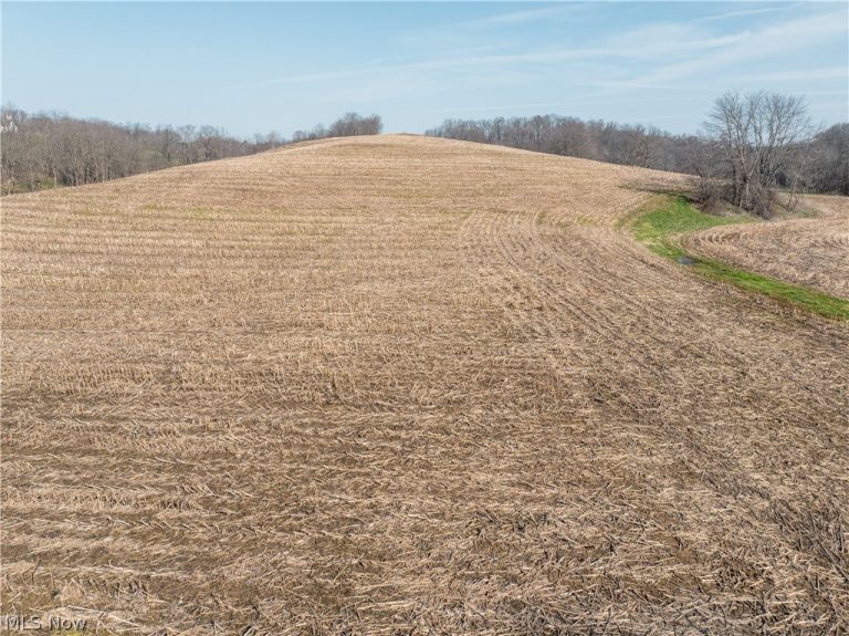 Coal Road, Fresno, OH - Photo 4