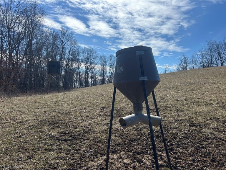 Ridgeview Lane, Blue Rock, OH - Photo 6