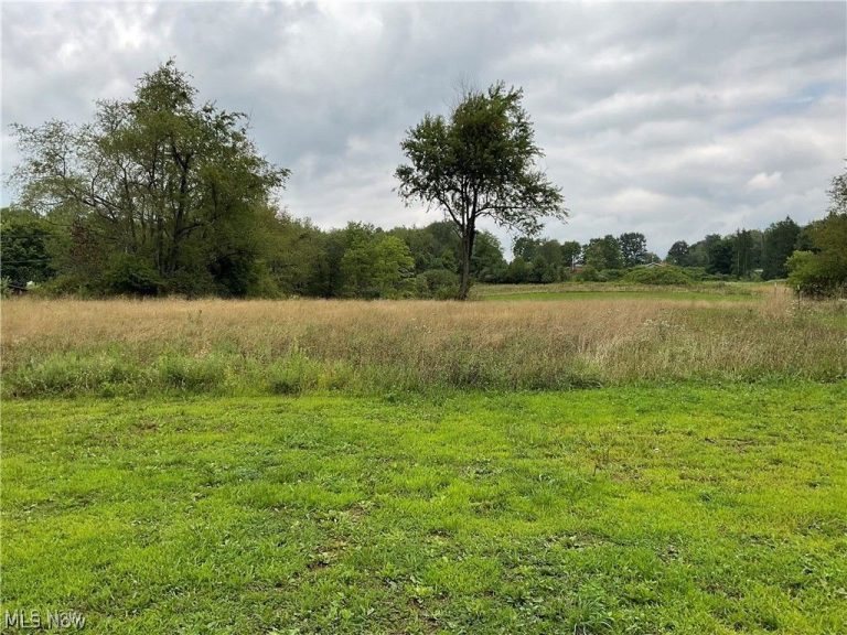 49386 FREDERICKTOWN CLARKSON Road, Negley, OH, 44441