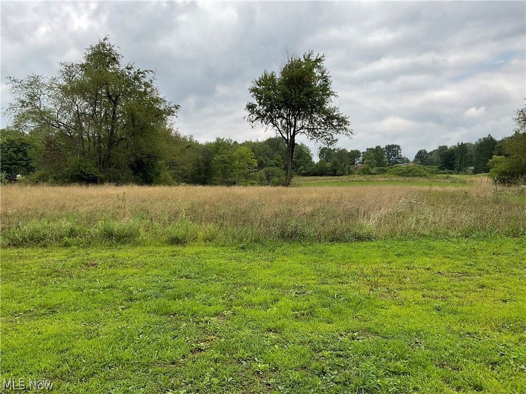 49386 FREDERICKTOWN CLARKSON Road, Negley, OH