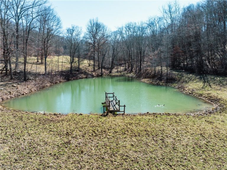Eckley Road, Jewett, OH, 43986