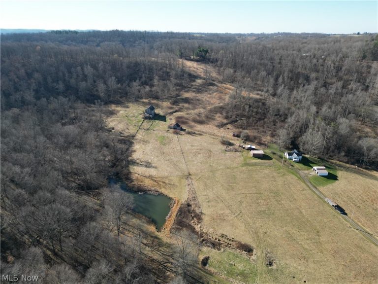 31785 PIEDMONT-FREEPORT Road, Freeport, OH - Photo 3