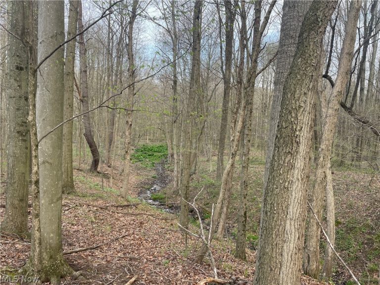2073 Lilly Road, Minerva, OH - Photo 3