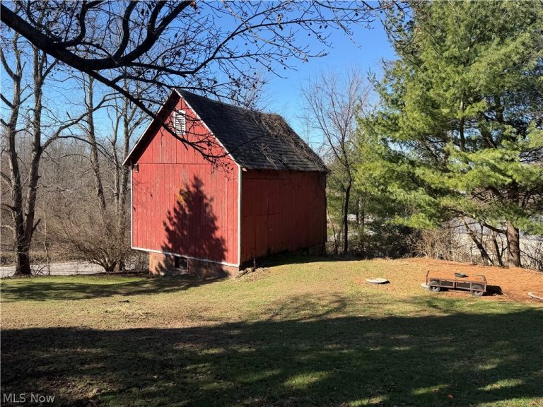 611 Mill Street, Canton, OH - Photo 6