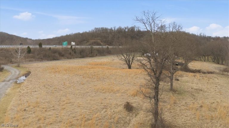 609 Little Kanawha River Road, Parkersburg, WV - Photo 8