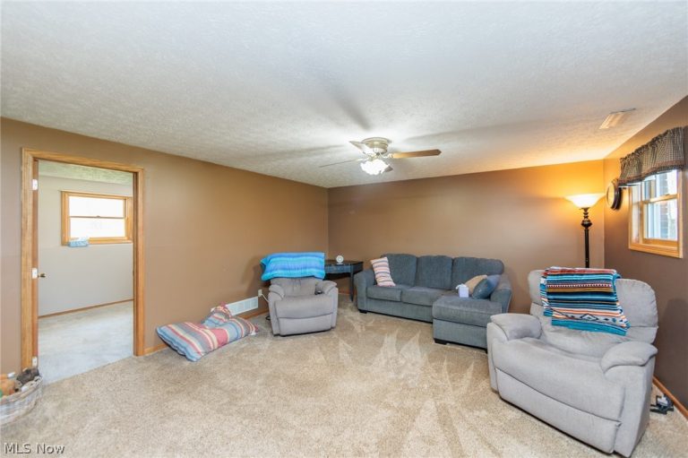 7310 Wolff Road, Medina, OH - Photo 8