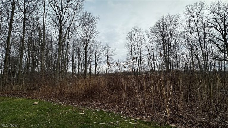 VL Rutledge Avenue, Saybrook, OH - Photo 3