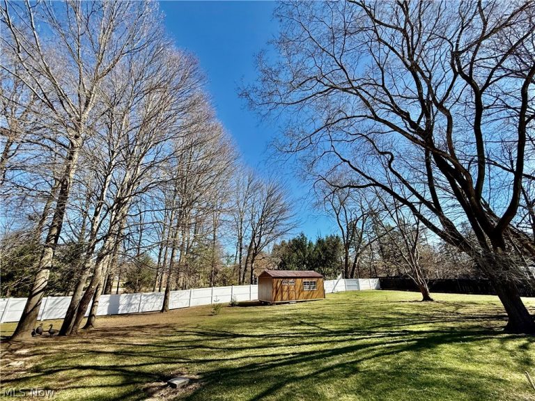 8524 Manchester Avenue, Canal Fulton, OH - Photo 5