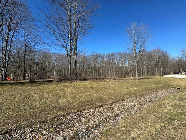 Buttonwood Lane, Ashtabula, OH - Photo 2