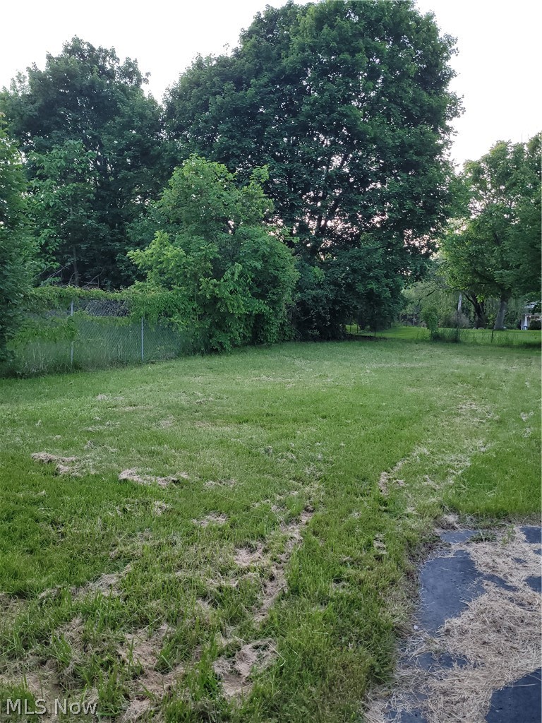 52 Earle Avenue, Youngstown, OH - Photo 4